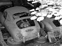 Autofriedhof - 209